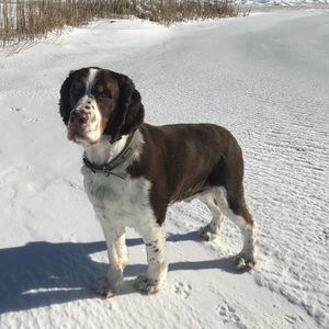 Meet your Posher, Rich